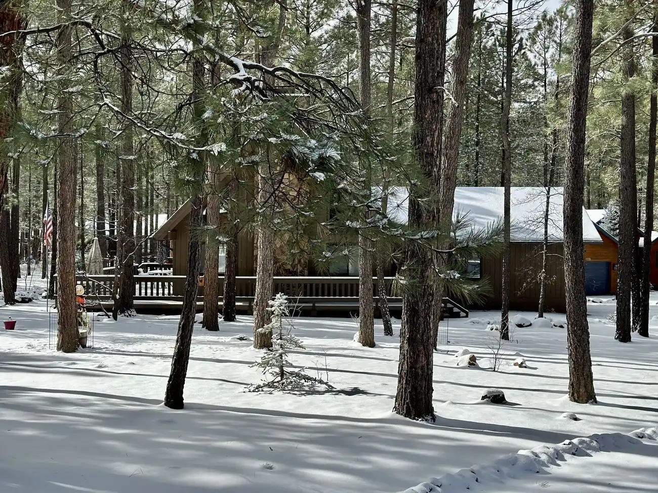 Cabin exterior in snowy pines